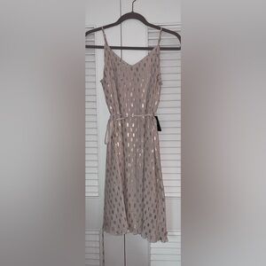 NWT - Express Beige Dress with Metallic Accents